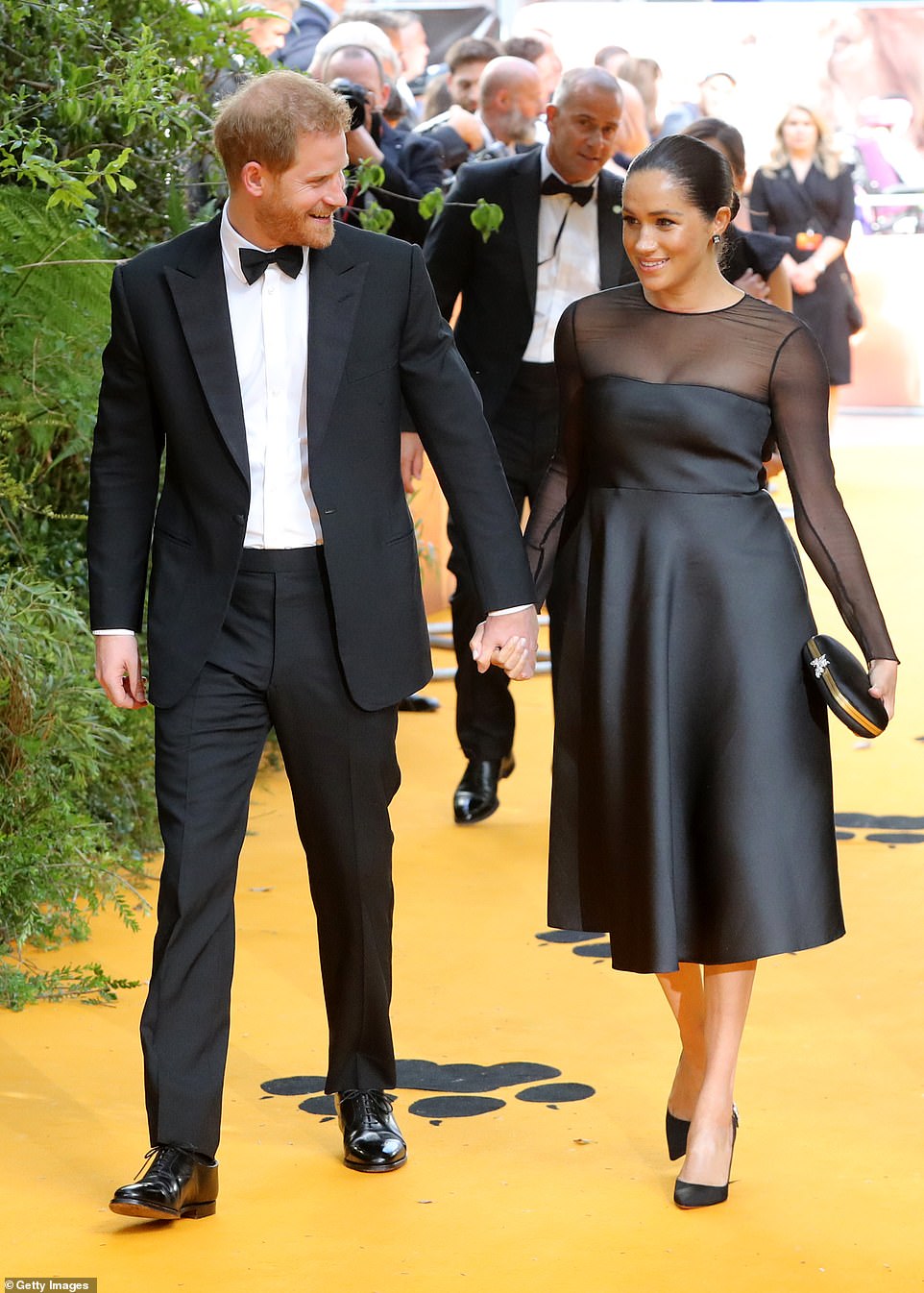 sussexes the lion king